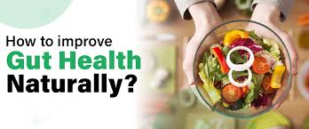 How to Optimize Your Diet for a Healthy Gut Microbiome