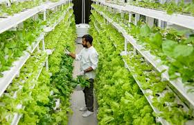 Innovations in Agriculture Gadgets for Smarter Farming: Transforming the Industry