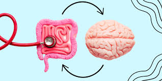 The Link Between Gut Health and Mental Well-Being