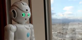 Will Fully Autonomous Robots Become a Household Gadget?