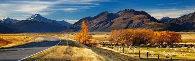 Best Safety Tips for Long Road Trips