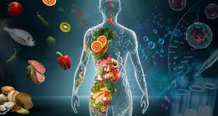 The Science Behind Healthy Living