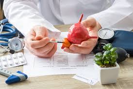 How to Improve Cardiovascular Health: A Comprehensive Guide
